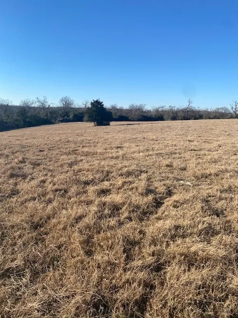 County Road 275 Buffalo, TX 75831