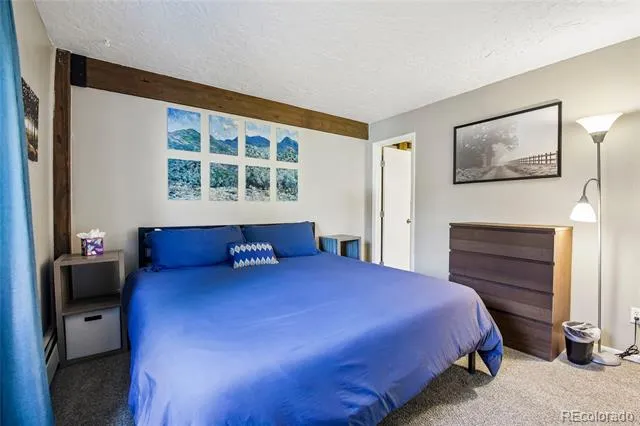 101 Ryan Gulch Court #A104 Silverthorne, CO 80498