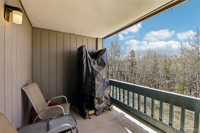 101 Ryan Gulch Court #A104 Silverthorne, CO 80498