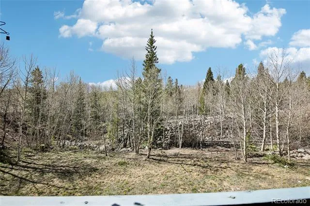 101 Ryan Gulch Court #A104 Silverthorne, CO 80498