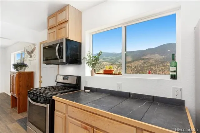 18340 S Lake Road Buena Vista, CO 81211