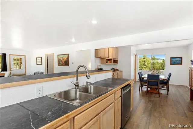 18340 S Lake Road Buena Vista, CO 81211