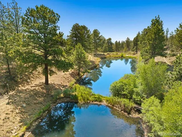 18340 S Lake Road Buena Vista, CO 81211
