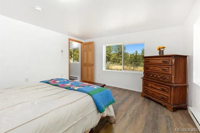 18340 S Lake Road Buena Vista, CO 81211