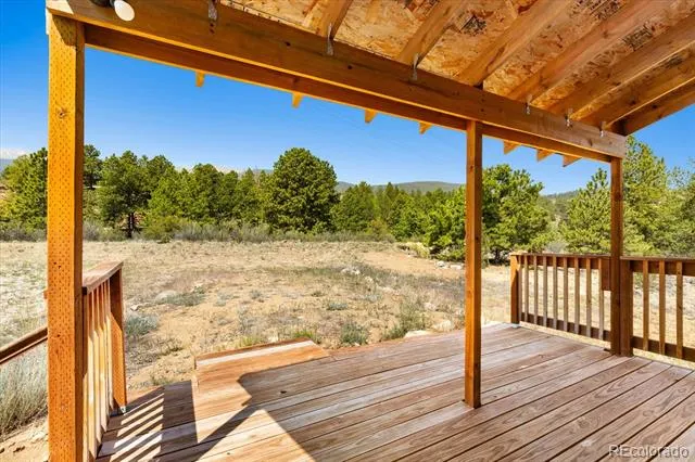18340 S Lake Road Buena Vista, CO 81211