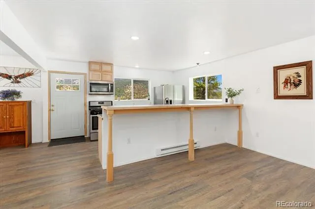 18340 S Lake Road Buena Vista, CO 81211