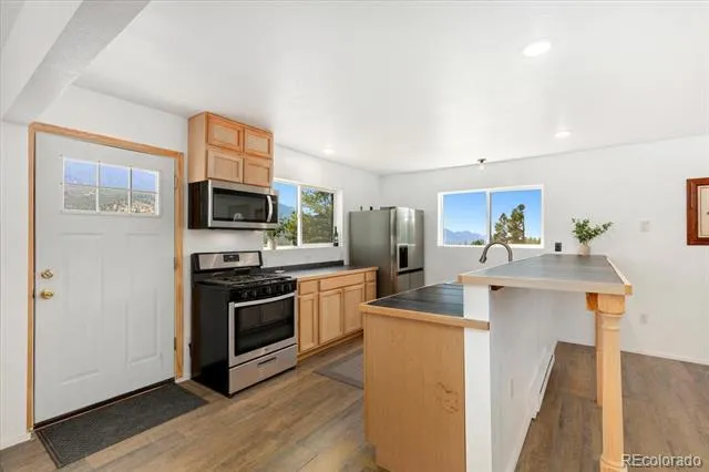 18340 S Lake Road Buena Vista, CO 81211