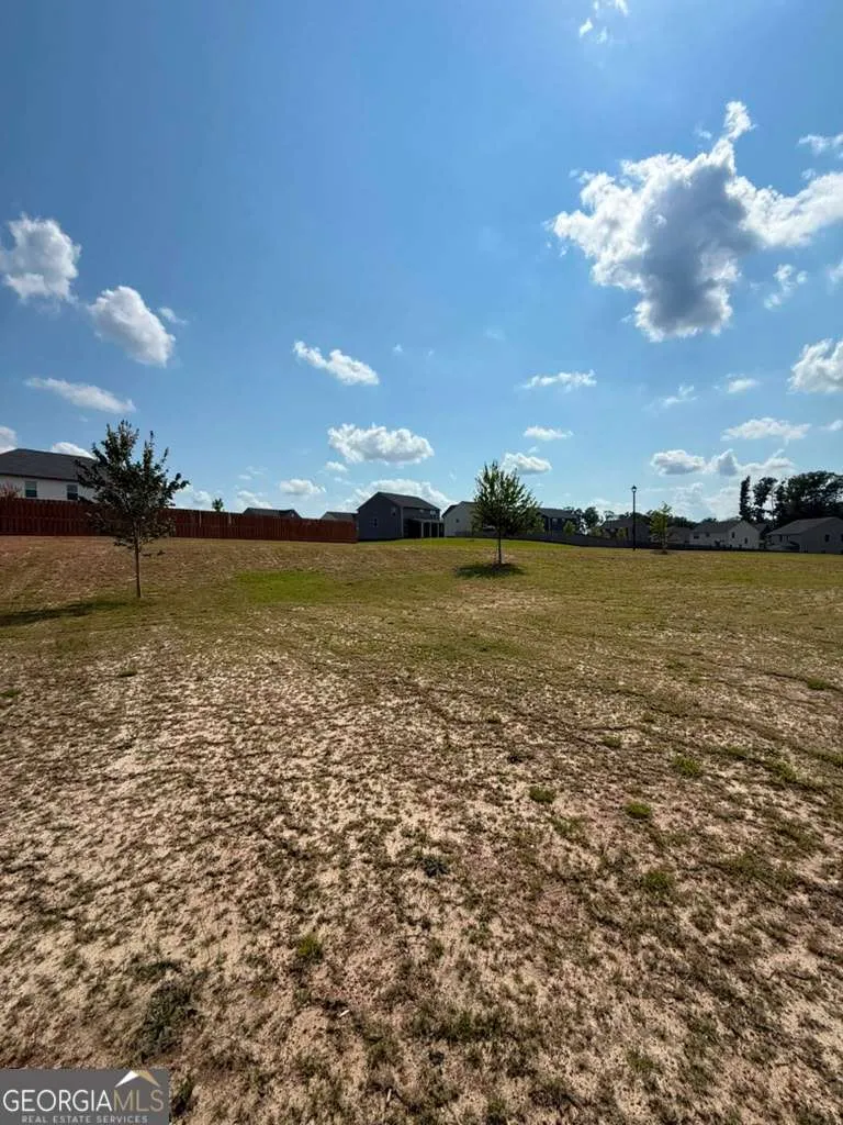 1104 Laflor WAY McDonough, GA 30253