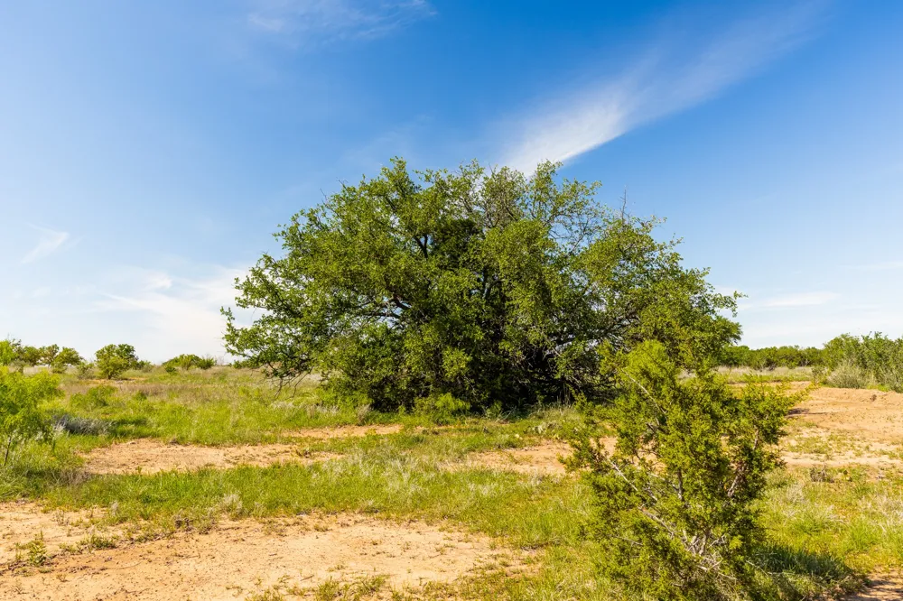 County Road 121 Coleman, TX 76834