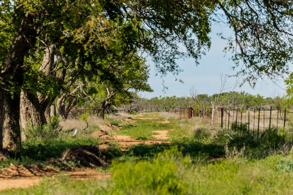County Road 121 Coleman, TX 76834
