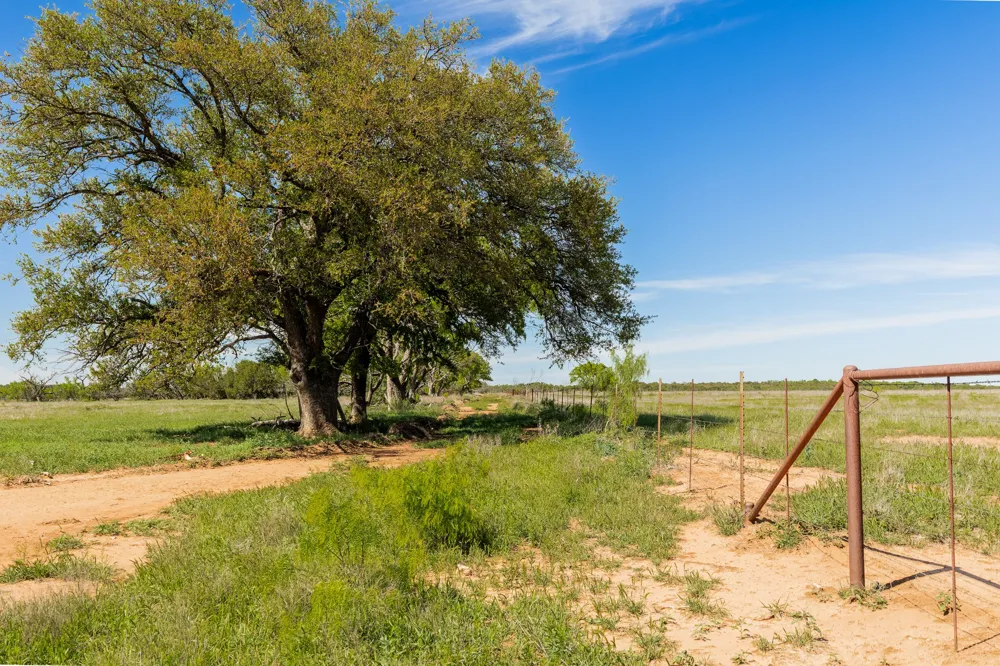 County Road 121 Coleman, TX 76834
