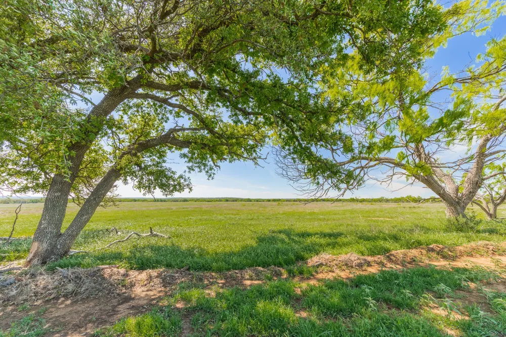 County Road 121 Coleman, TX 76834