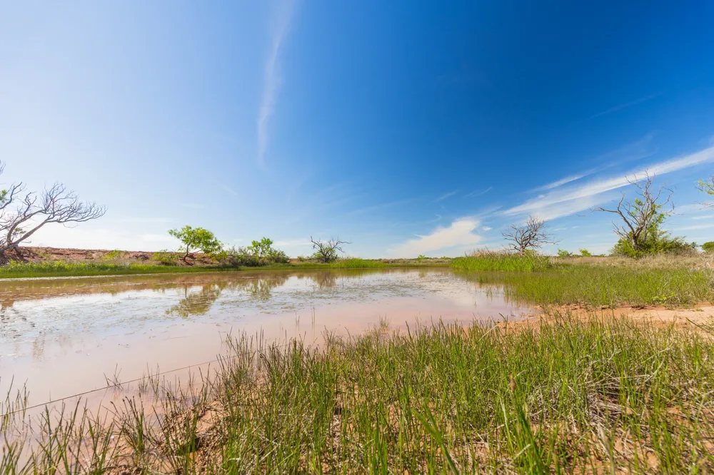 County Road 121 Coleman, TX 76834