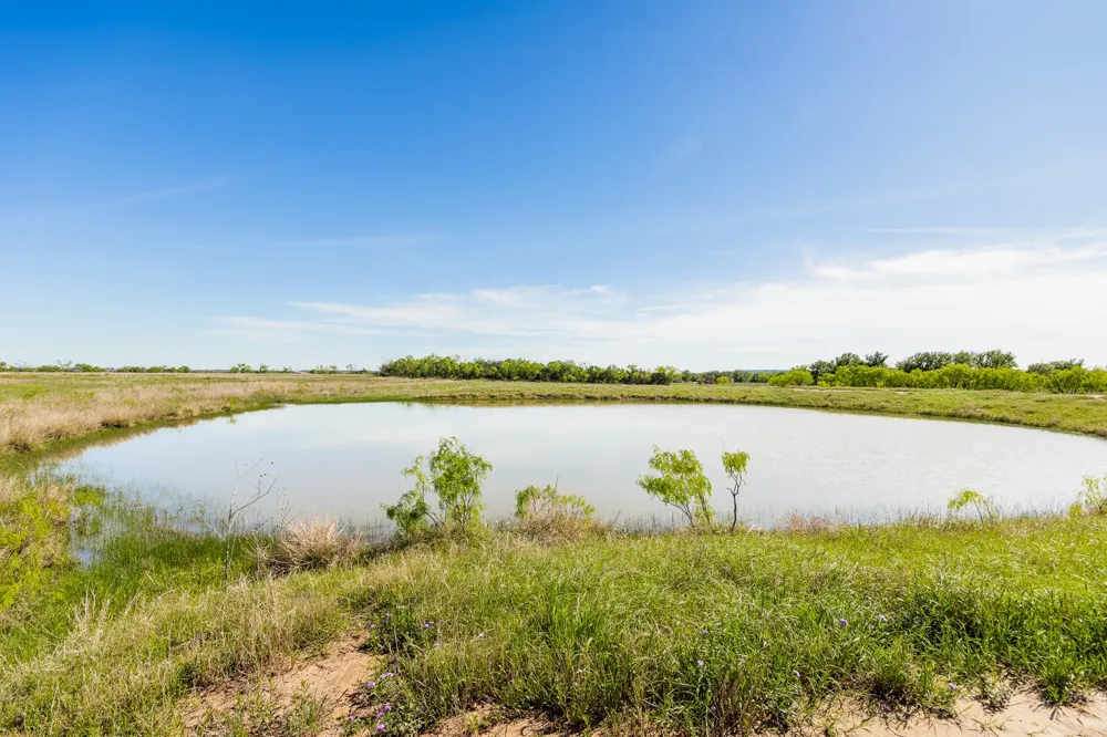 County Road 121 Coleman, TX 76834