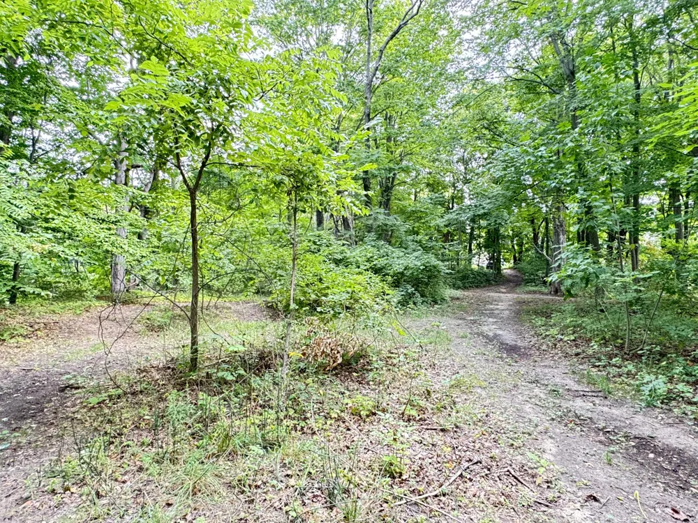 200 S Water Street Hart, MI 49420