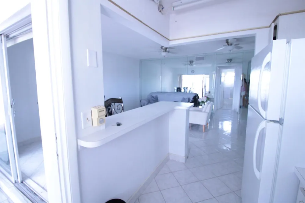 721 ATLANTIC SHORES BOULEVARD #309 Hallandale Beach, FL 33009