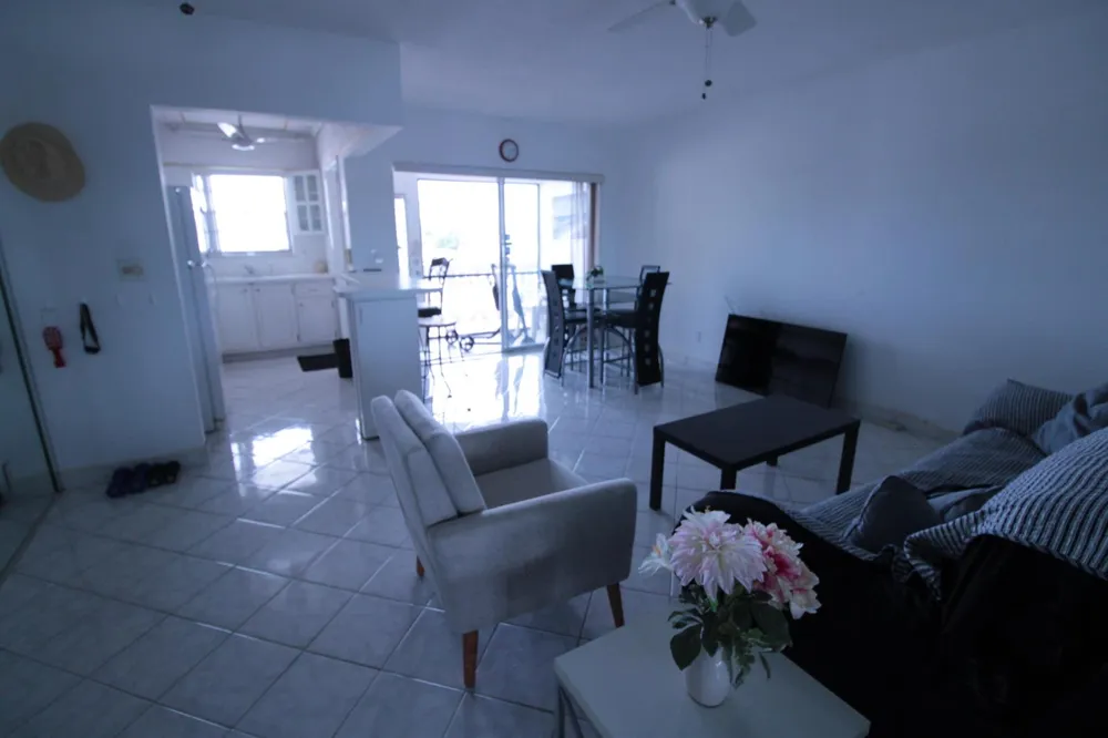 721 ATLANTIC SHORES BOULEVARD #309 Hallandale Beach, FL 33009