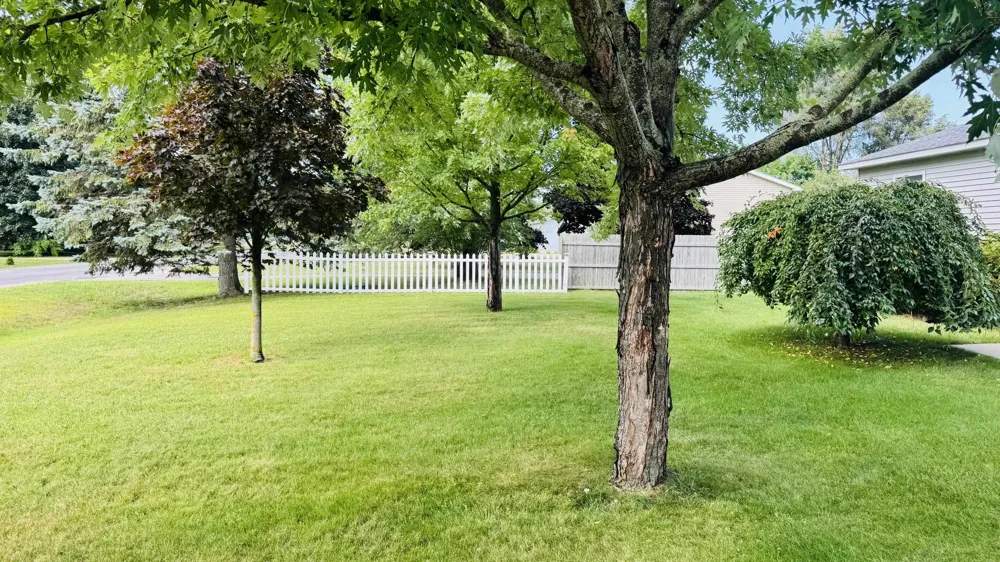4520 Manor Wood Drive Traverse City City, MI 49685