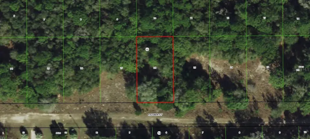2006 FALKNER STREET Inverness, FL 34453