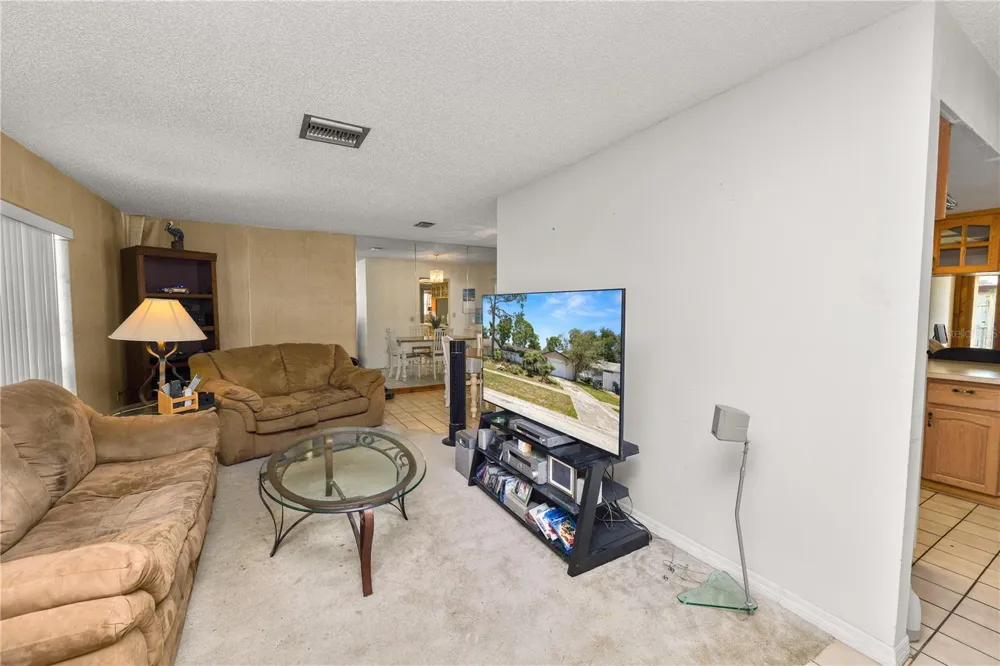 5028 HEADLAND HILLS AVENUE Tampa, FL 33625