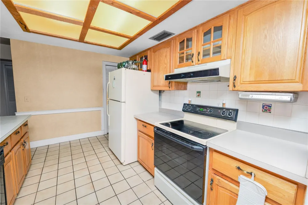 5028 HEADLAND HILLS AVENUE Tampa, FL 33625