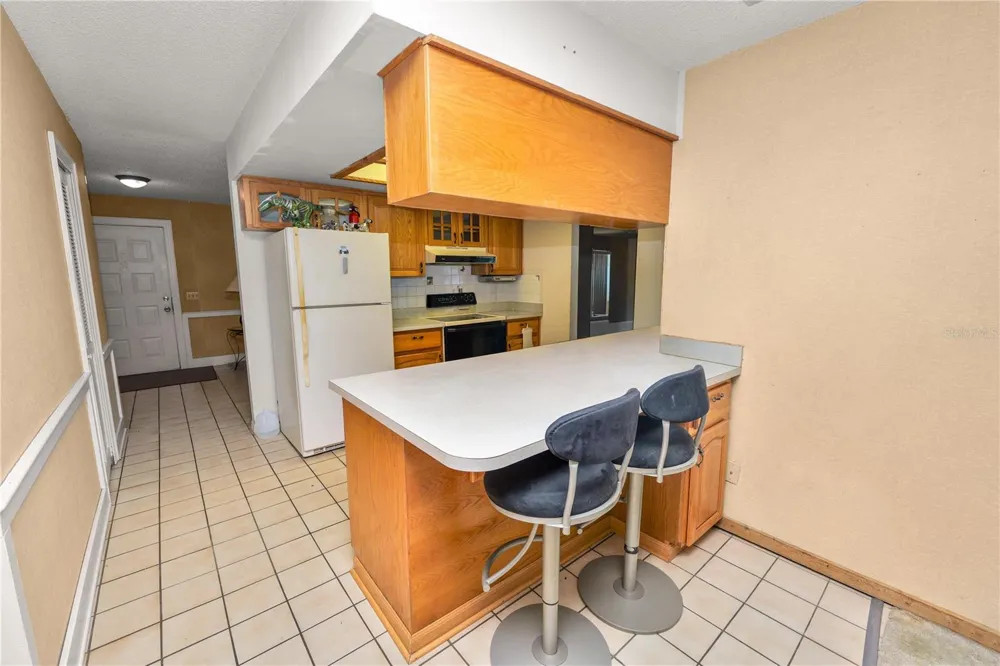5028 HEADLAND HILLS AVENUE Tampa, FL 33625