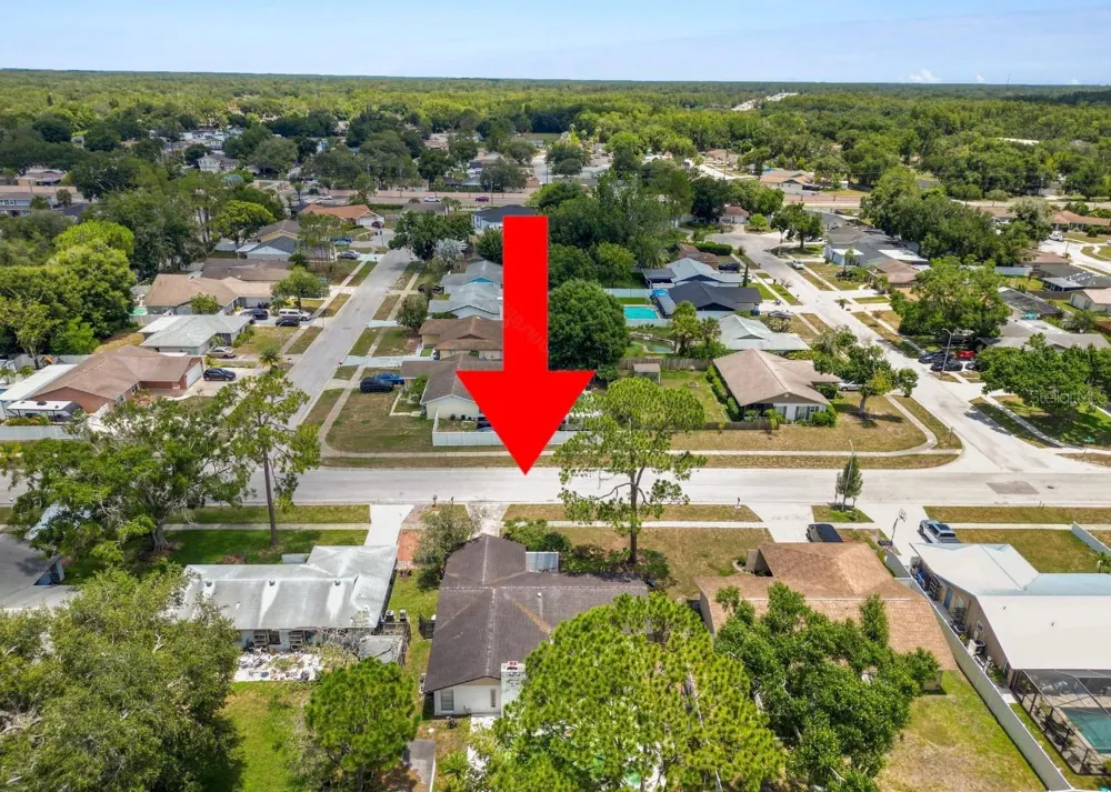 5028 HEADLAND HILLS AVENUE Tampa, FL 33625