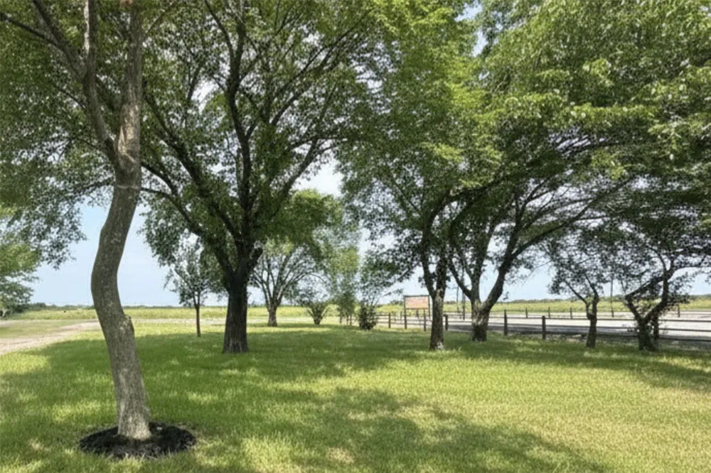 5772 State Highway 78 Bonham, TX 75418