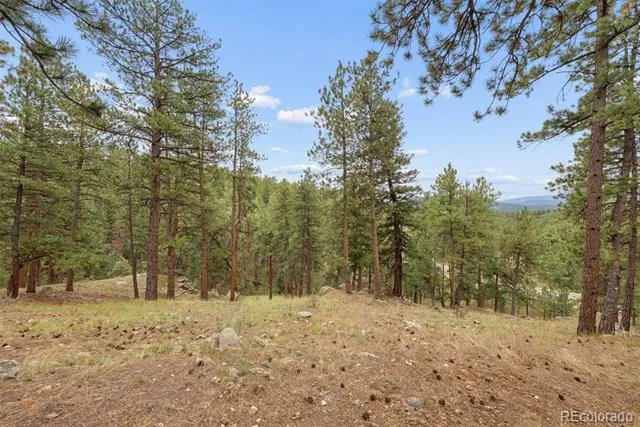 25478 Foothills Drive Golden, CO 80401