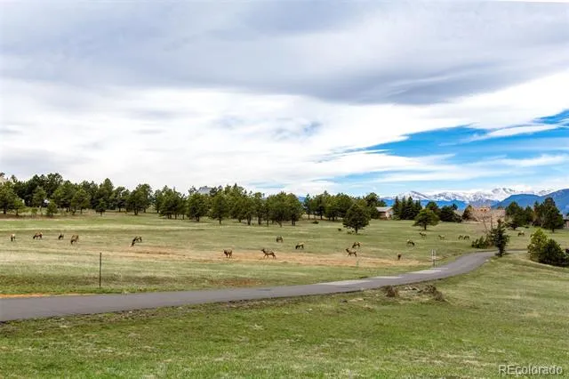 25478 Foothills Drive Golden, CO 80401