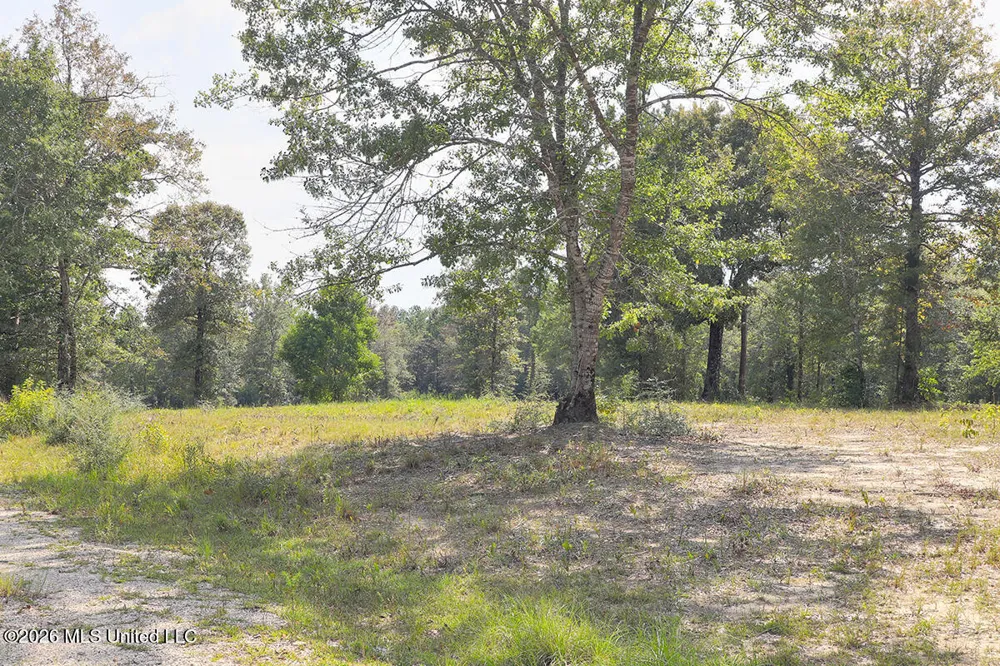 14481 E Wortham Road Saucier, MS 39574