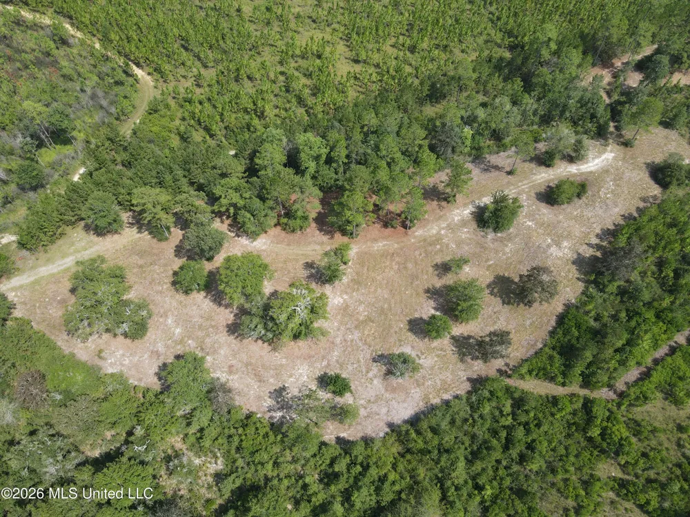 14481 E Wortham Road Saucier, MS 39574
