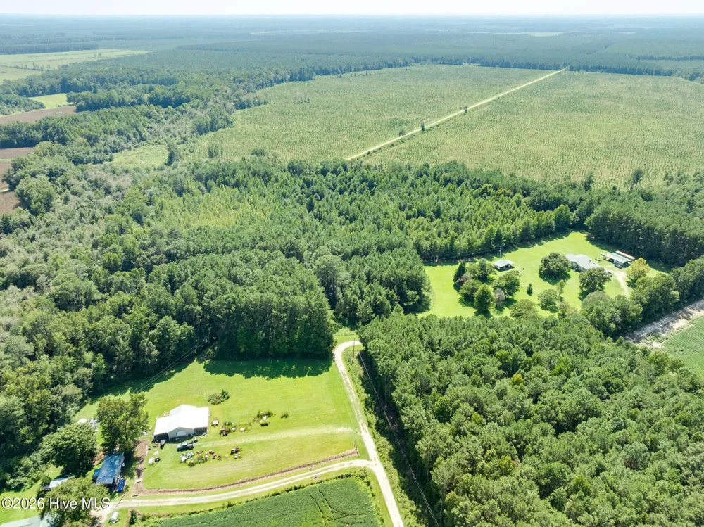 000 S Wisteria Lane Willard, NC 28478