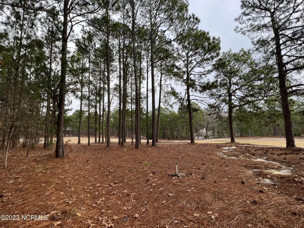 182 Banbridge Drive West End, NC 27376
