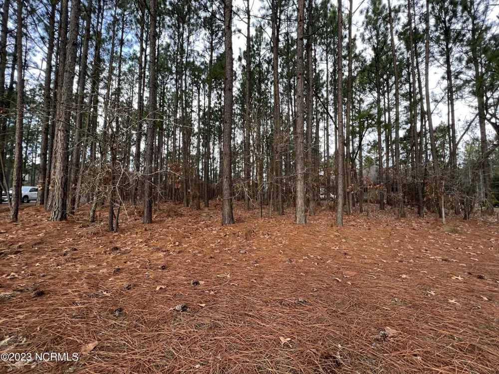182 Banbridge Drive West End, NC 27376
