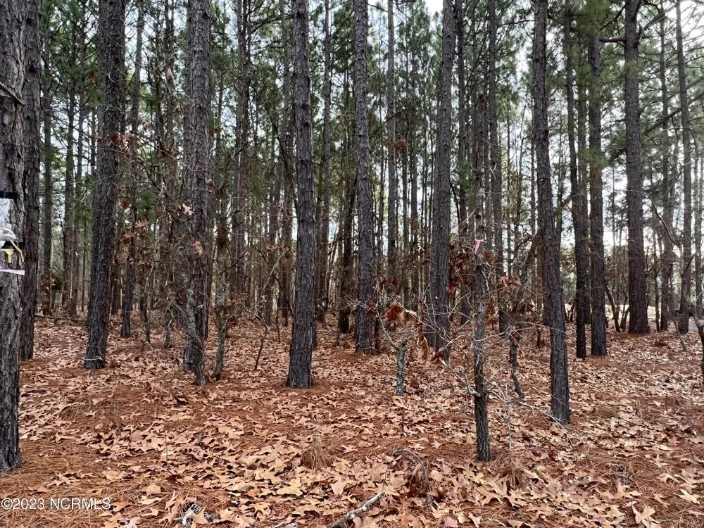 182 Banbridge Drive West End, NC 27376