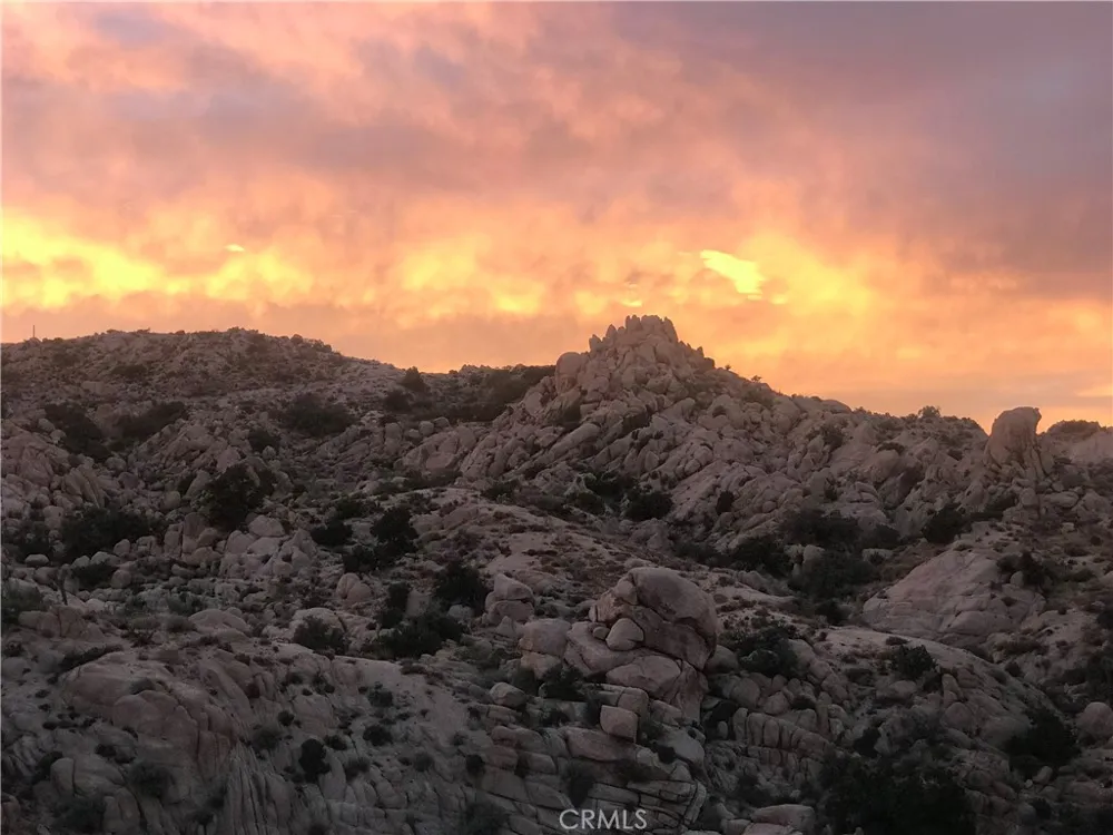 56564 Nelson Avenue Yucca Valley, CA 92284
