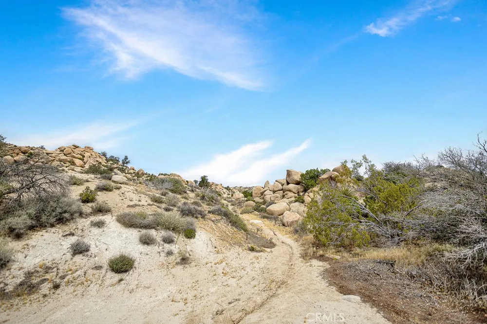 56564 Nelson Avenue Yucca Valley, CA 92284