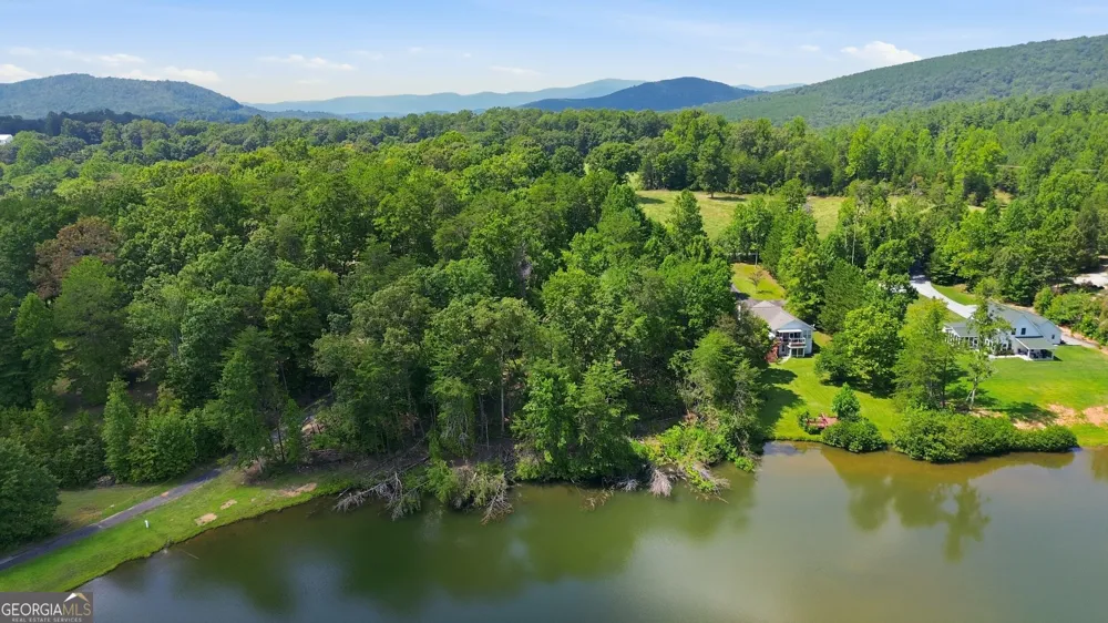 0 Deer Trail LKS Clarkesville, GA 30523