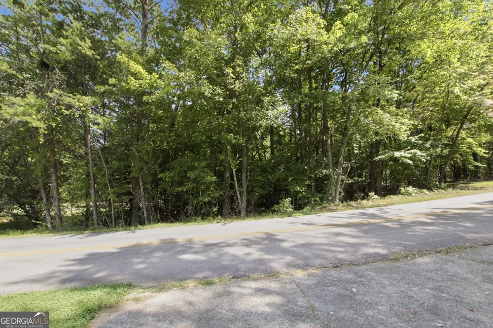 0 Deer Trail LKS Clarkesville, GA 30523
