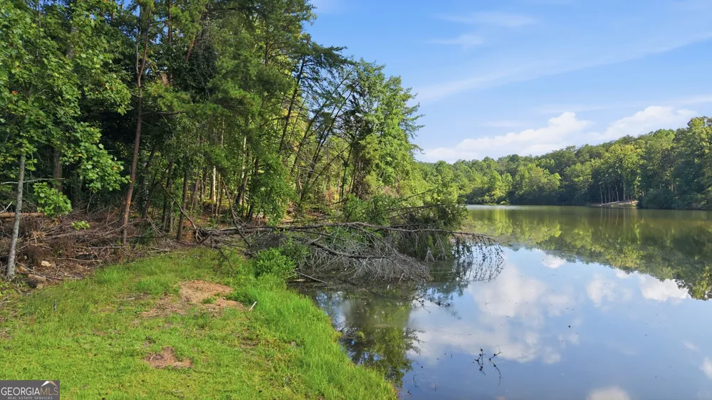 0 Deer Trail LKS Clarkesville, GA 30523