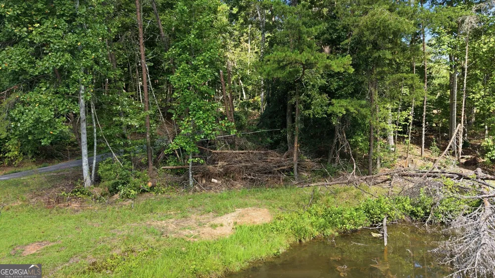 0 Deer Trail LKS Clarkesville, GA 30523