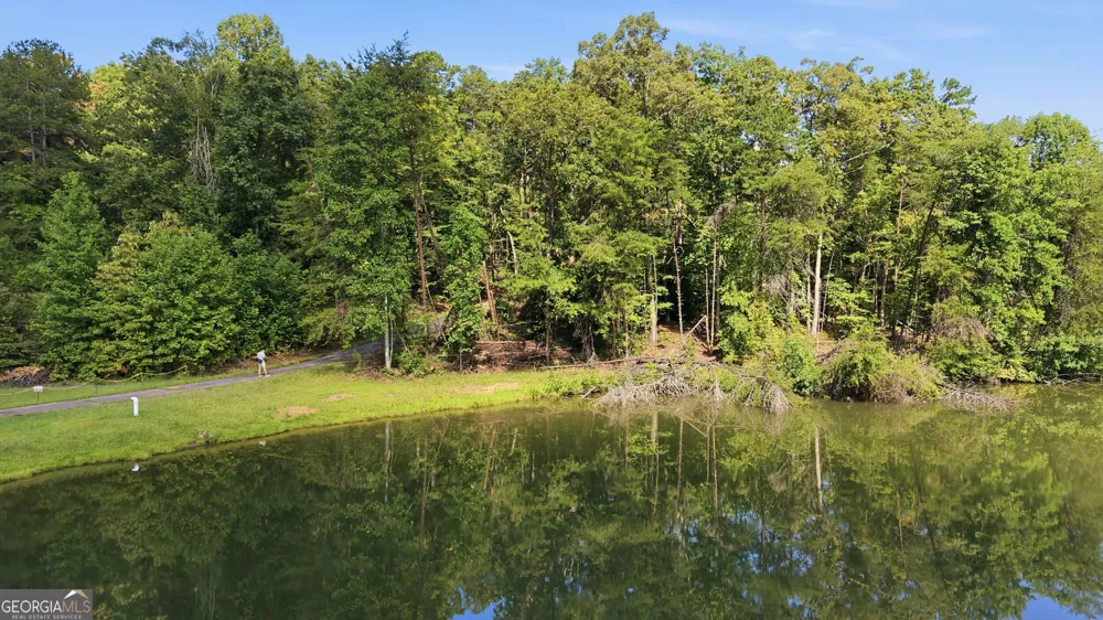 0 Deer Trail LKS Clarkesville, GA 30523