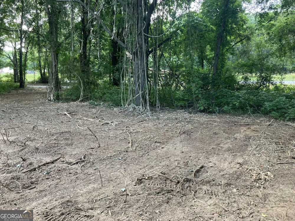 0 Durand HWY Warm Springs, GA 31830