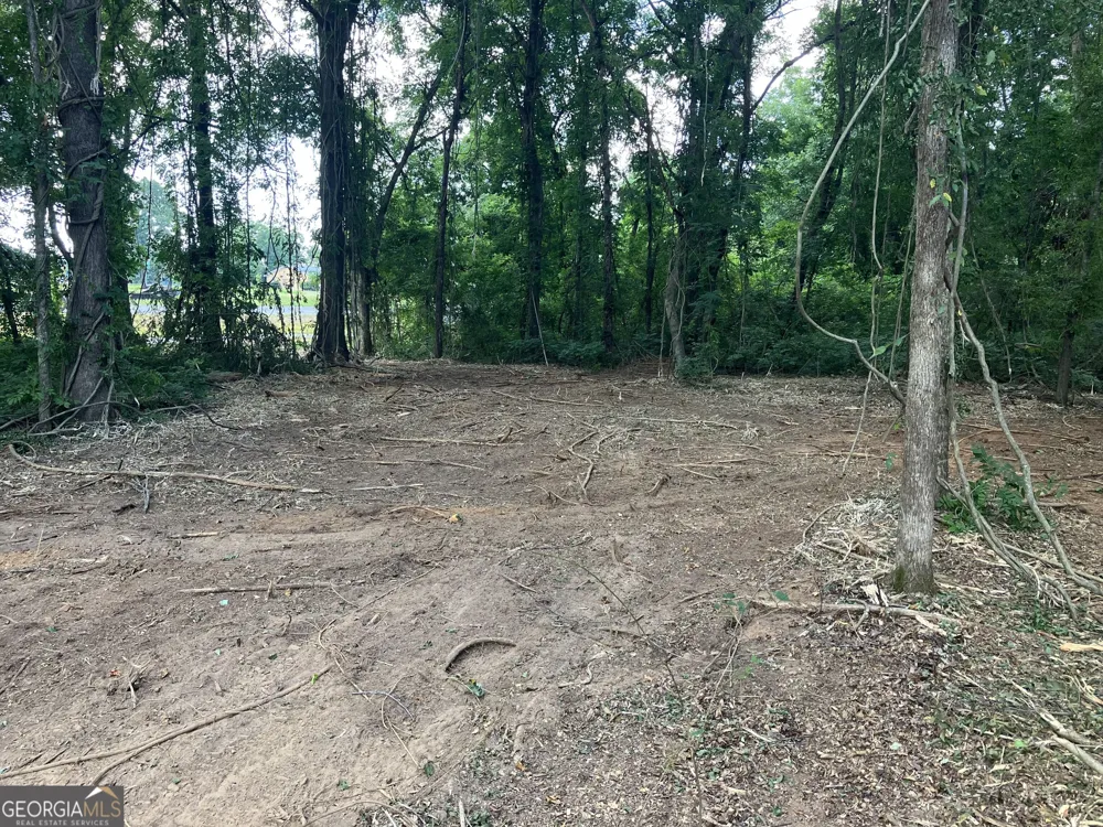 0 Durand HWY Warm Springs, GA 31830
