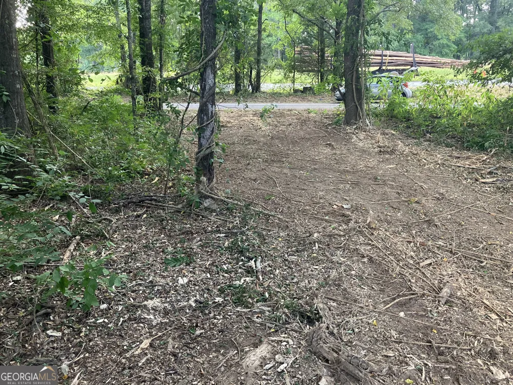 0 Durand HWY Warm Springs, GA 31830
