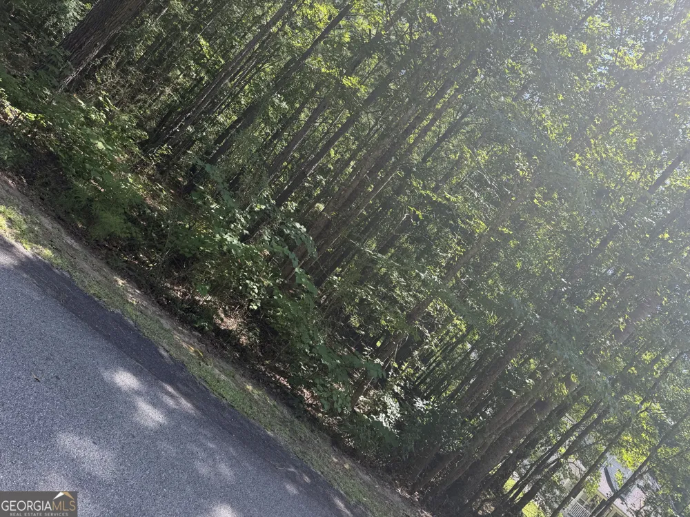 0 Opal ST Luthersville, GA 30251