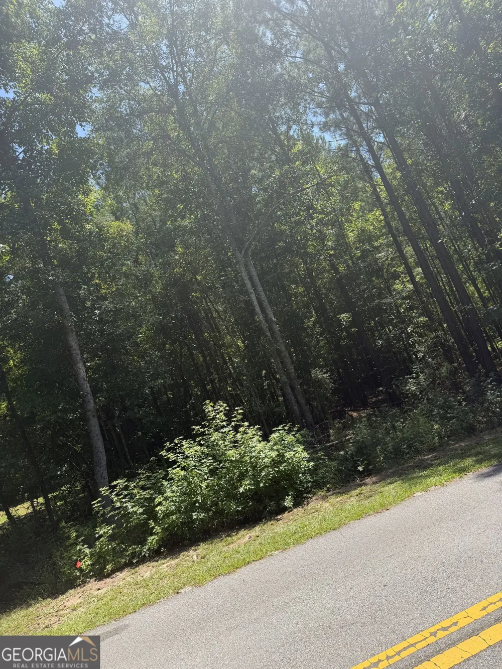 0 Opal ST Luthersville, GA 30251
