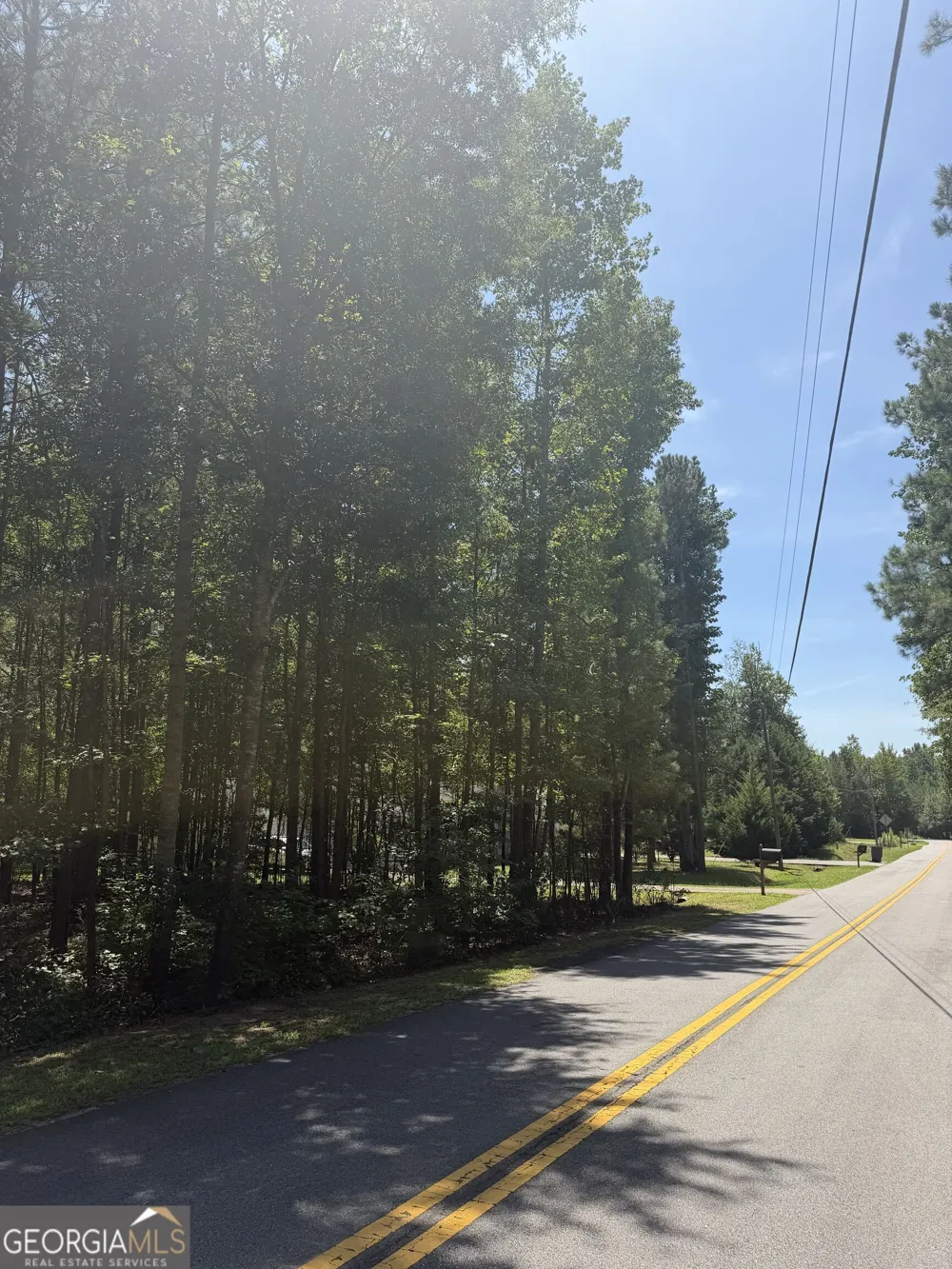 0 Opal ST Luthersville, GA 30251