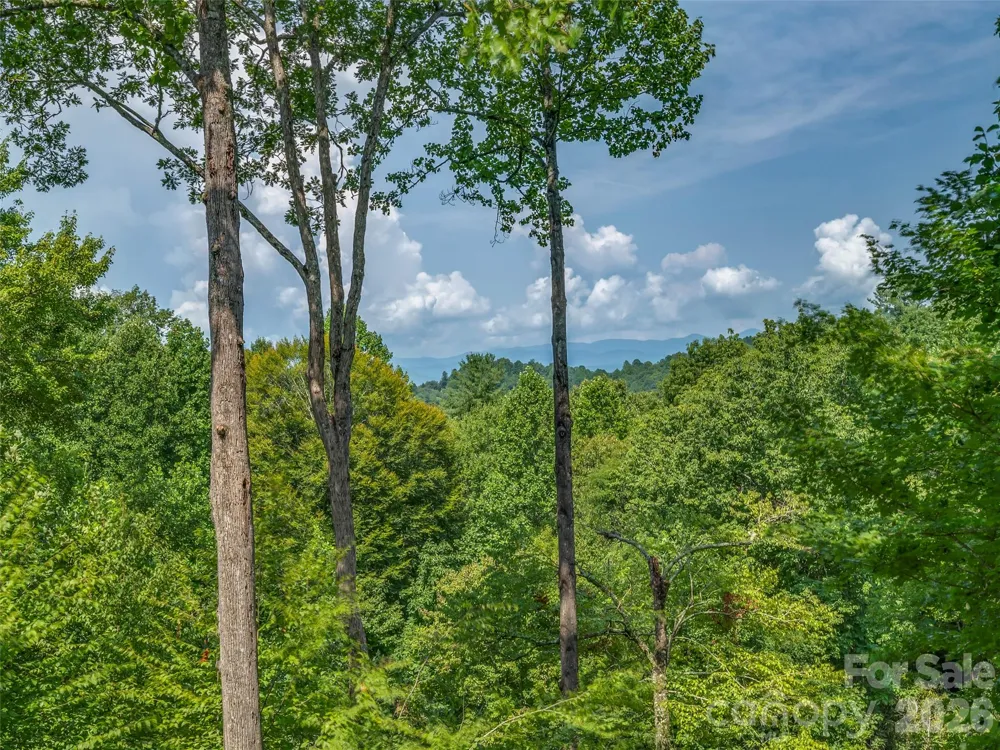 75 Old Hickory Trail Hendersonville, NC 28739
